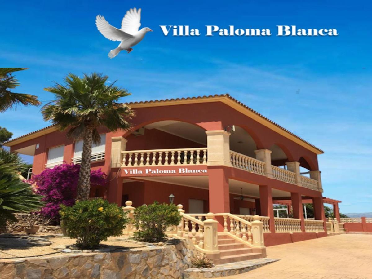 Villa Paloma Blanca El Albir Exteriér fotografie