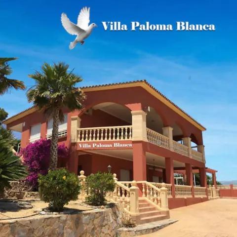 Villa Paloma Blanca El Albir Exteriér fotografie